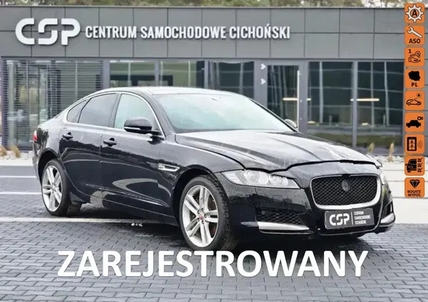 jaguar świętokrzyskie Jaguar XF cena 39900 przebieg: 91101, rok produkcji 2016 z Środa Śląska